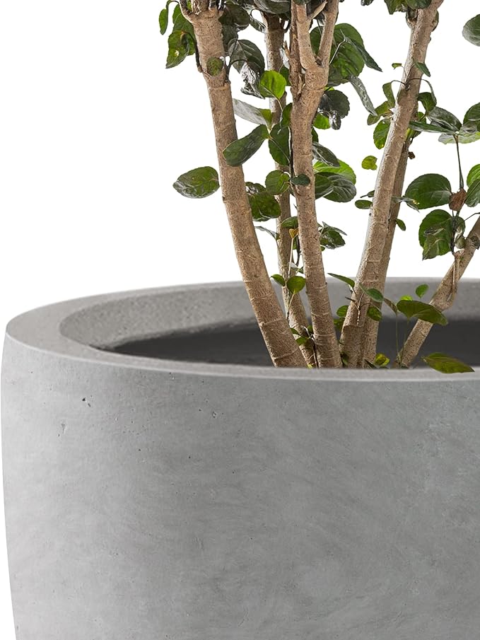 Kante 16.5" Dia Round Concrete Planter, Large Outdoor Modern Indoor Decorative - Image 8