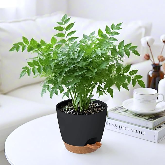 6-Pack Plant Pots with Drainage 7 Inch, Self Watering Pots - Image 6