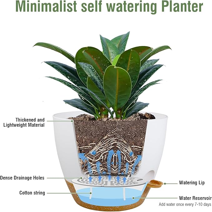12 inch Large Self Watering Pots - Image 4