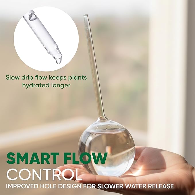 Clear Plant Watering Globes Set of 6 - Image 4