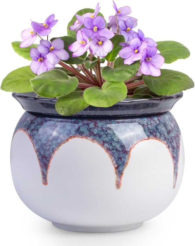 African Violet Pots, 6 inch Ceramic Easy Self Watering Plant Pot by BUYMAX
