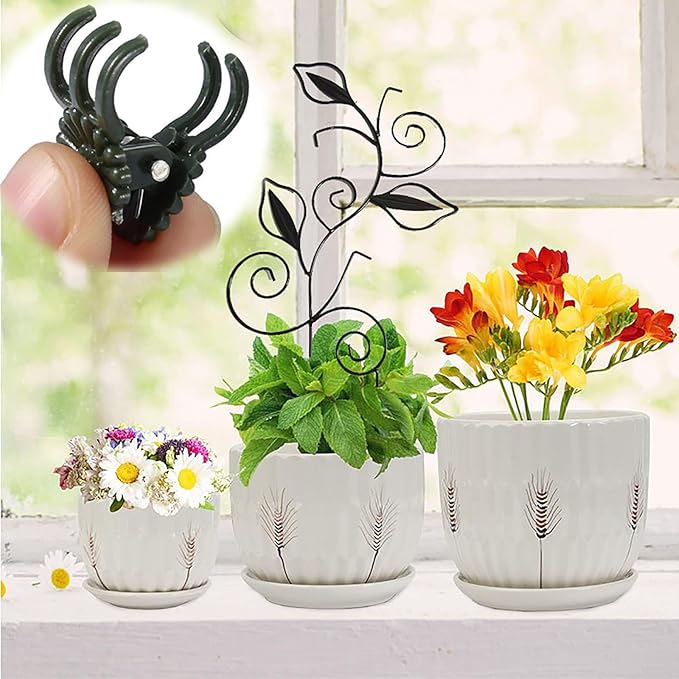 Decorative Metal Plant Trellis for Indoor Potted Plants – Leaf Shape Vine - Image 3