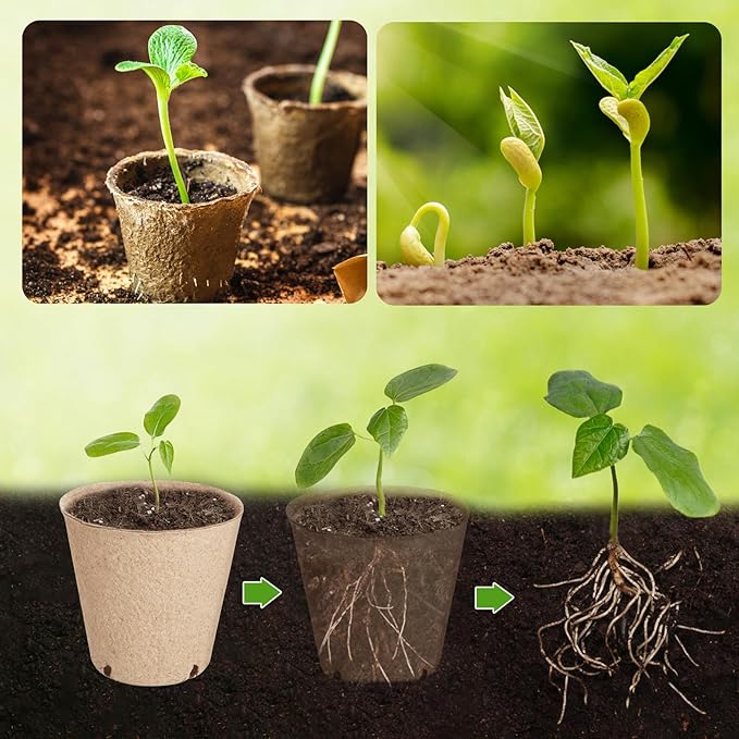 132 Pack Organic Peat Pots, 3.15 Inch Nursery Pot, Round Plant Seedling Pots - Image 3