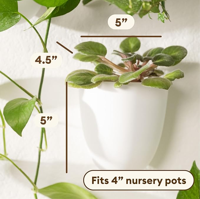 PlantPod Classic - Image 3
