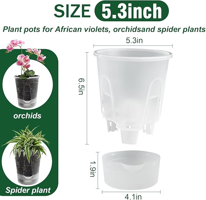 Cdd's Path Upgraded 5-Pack 6 Inch Naked Root Planter Self Watering Pots Set - Image 4