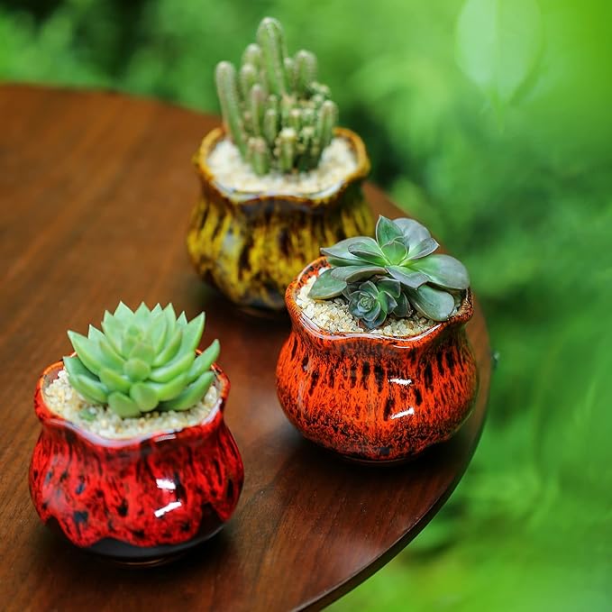 Cute Ceramic Succulent Planters, Garden Pots - Image 8