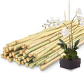 50Pcs / 2ft Bamboo Plant Stakes by Avalution