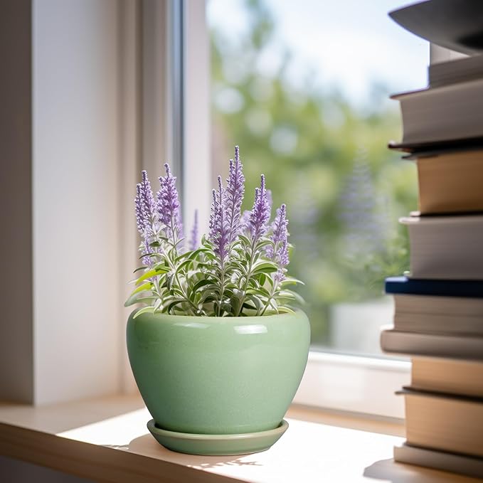 6 Inch Plant Pot - Image 2