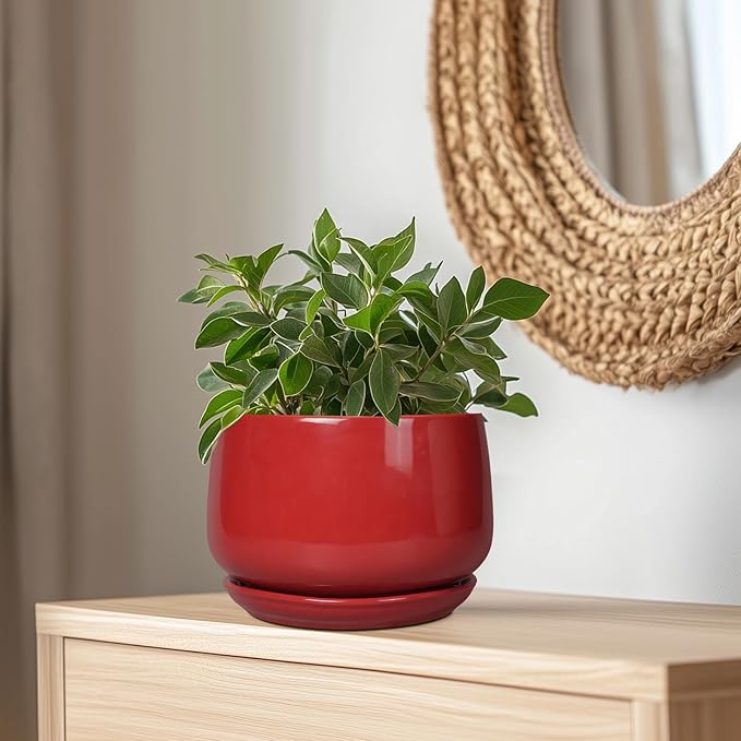 G EPGardening Ceramic Plant Pots - Image 5