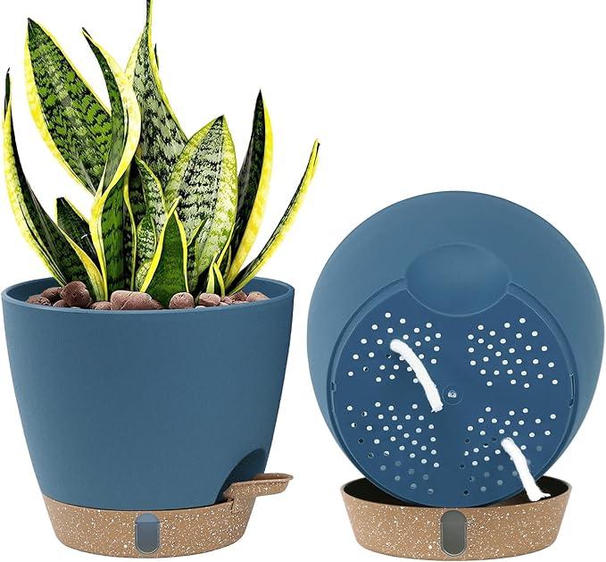 montresor 2-Pack of 8inch Self Watering Pots Blue Sturdy Plastic Flower Pot by Montresor