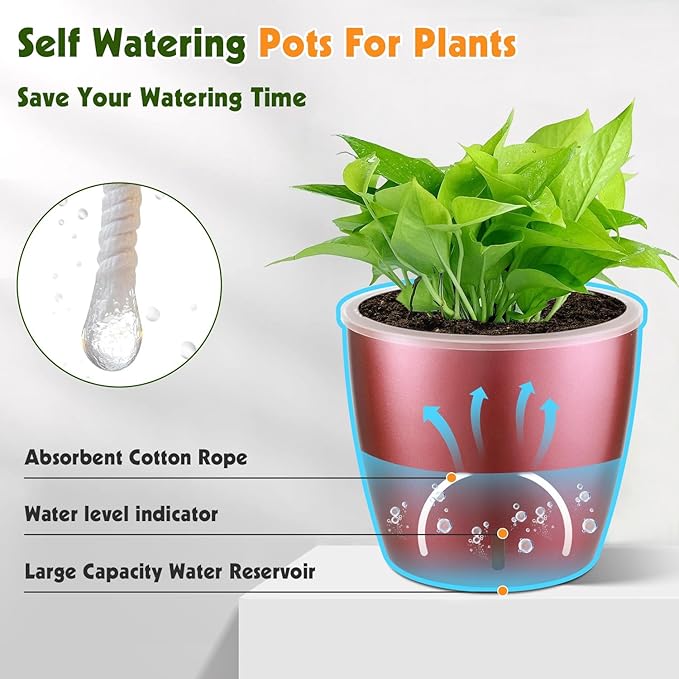 Self Watering Pots for Indoor Plants, Small African Violet Pots - Image 2