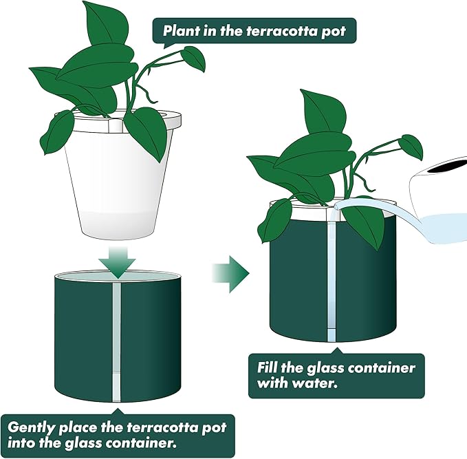 D'vine Dev 8 Inch Design Self Watering Planter - Image 5