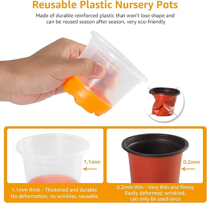 MIXC Thickened Clear Nursery Pots - Image 4