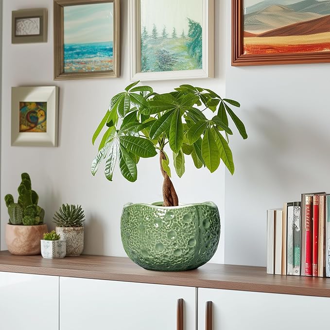 8 Inch Plant Pot - Image 6