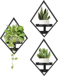 Wall Plant Holder, 3 Pack Metal Floating Shelves Indoor, Window Sill Plant Shelf by SBOSBO