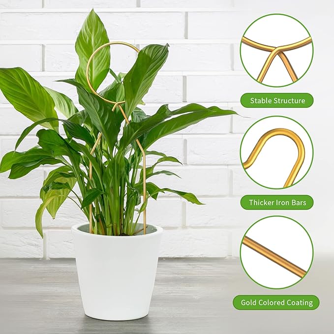 4 Pcs Small Metal Trellis for Potted Plants, Small Trellis for Potted Plants - Image 4