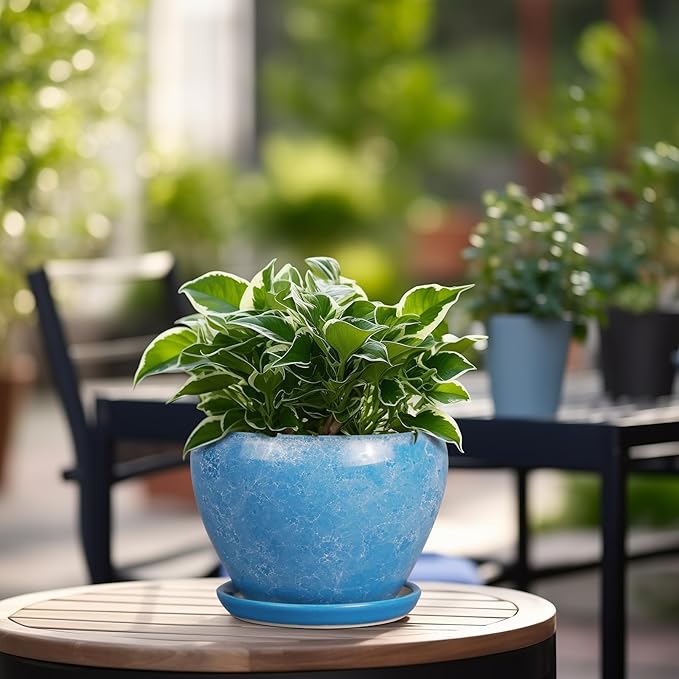6 Inch Plant Pot - Image 5