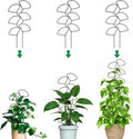 Plant Trellis for Climbing Plants Indoor Outdoor, Trlzey 3 Pack Stackable Metal by Trlzey