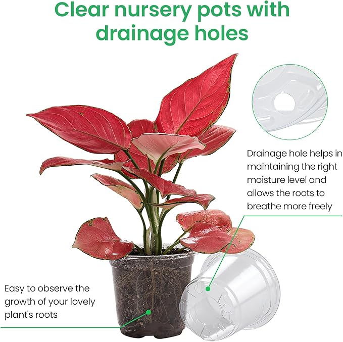 30 Packs 7/5/4 Inch Reinforced Clear Nursery Pots - Image 3