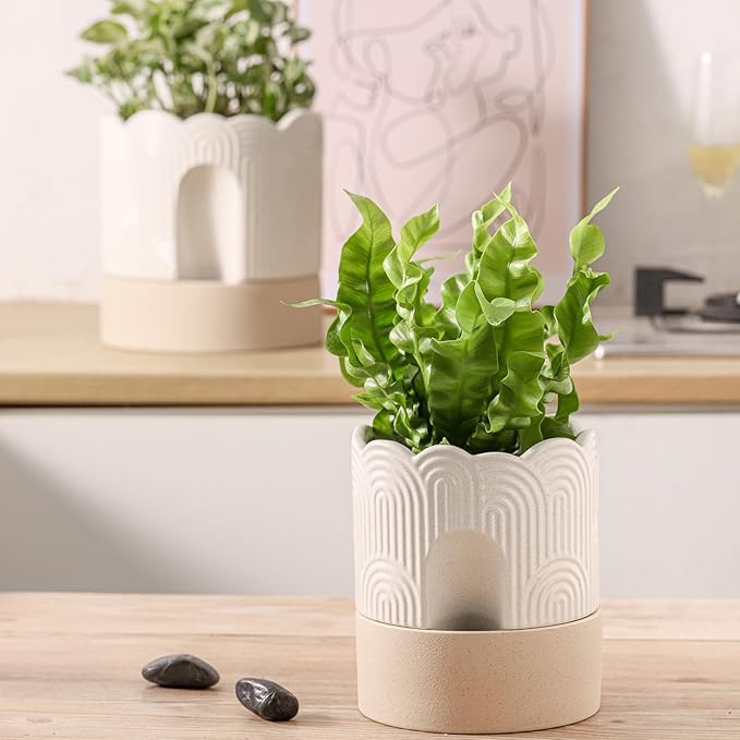 Nihow Self Watering Plant Pot: 6 Inch Ceramic Planter - Image 9