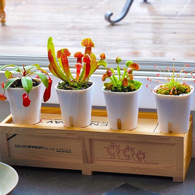 3" Self Watering Pots, 20 Sets Self Watering Planter Pots - Image 8