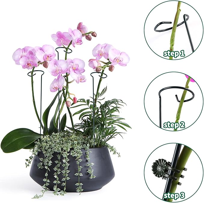 20 Pack Plant Support Stakes - Image 5