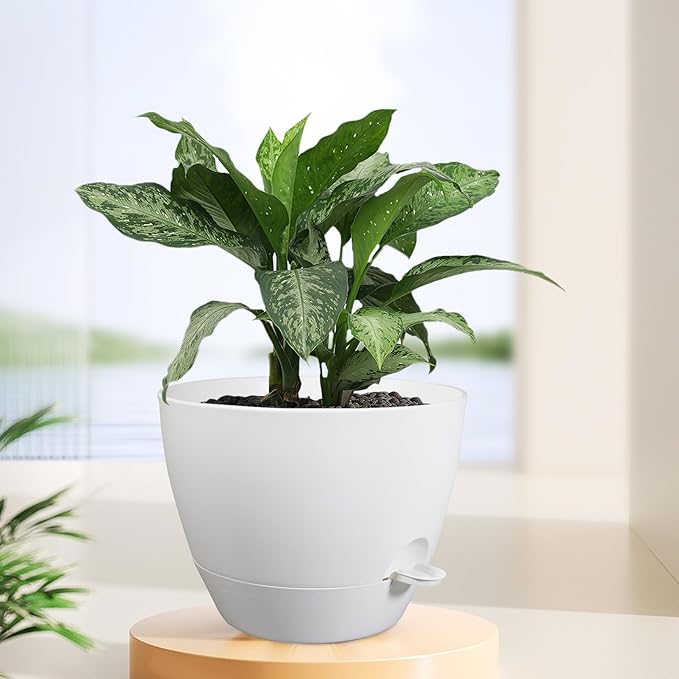 12 inch Large Self Watering Pots - Image 6