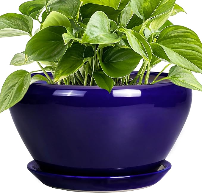 Planter for Indoor Plants 9 Inch by Ceramicfor