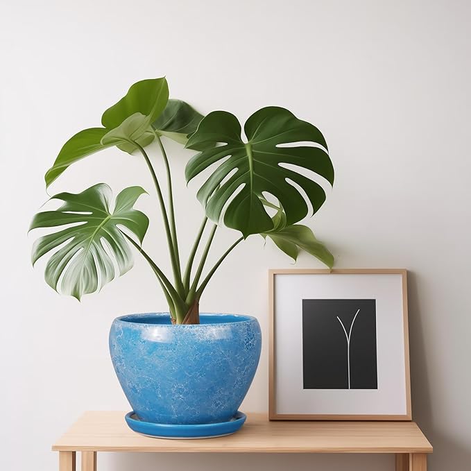 6 Inch Plant Pot - Image 2