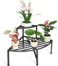 Corner Plant Stand Outdoor Metal, 2 Tier Heavy Duty Ladder Plant Shelf Indoor by Dipion