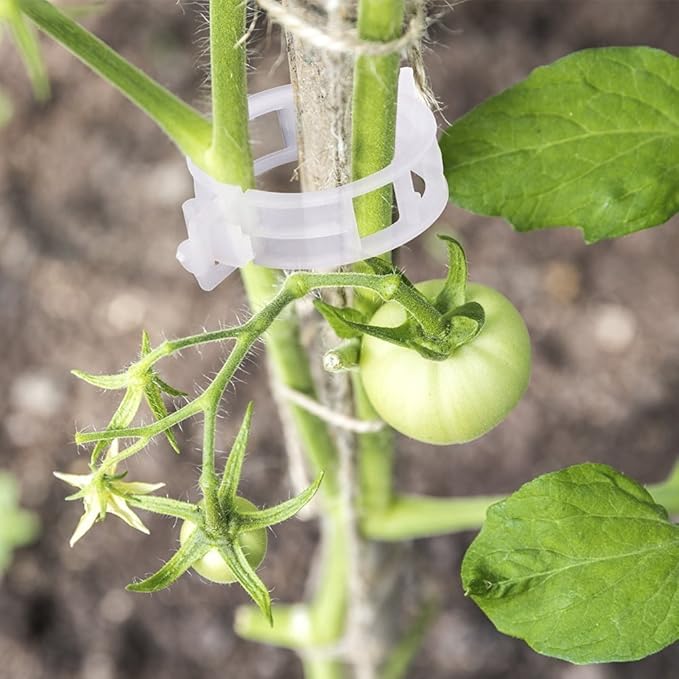 KINGLAKE Plant Support Garden Clips, Tomato Vine Clips, Tomato Trellis Clips - Image 2