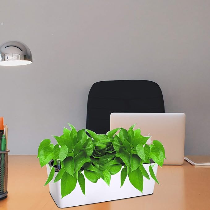 Fasmov 2 Pack Rectangle Self Watering Planter - Image 6
