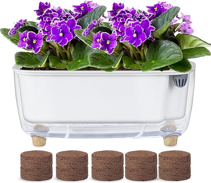 Self Watering Planter with Coco Coir Pellets, 11.8 Inch Plastic Rectangular by Oliz