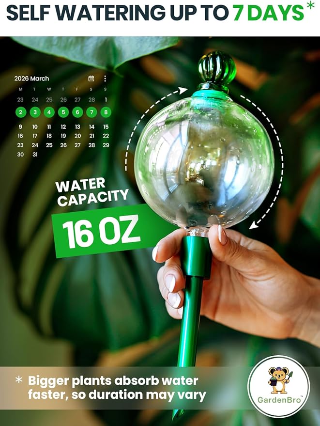 6pcs 16 Oz Plant Watering Globes - Image 2