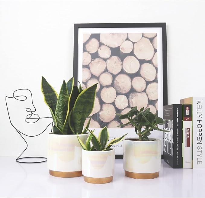 Gepege White Indoor Pots for Plants, Ceramic Planter - Image 6