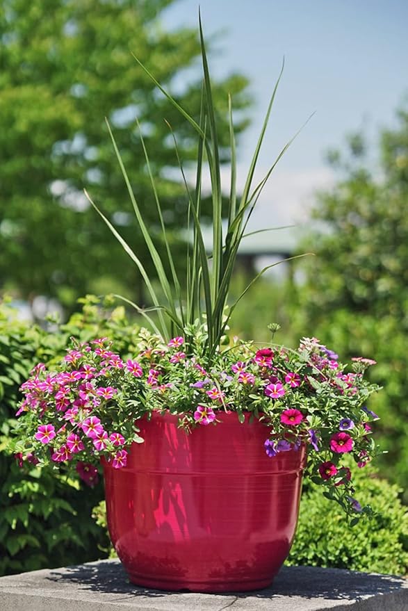Garden Elements Indoor/Outdoor Glazed Brushed Happy Plastic Planter, Bright Pink - Image 2
