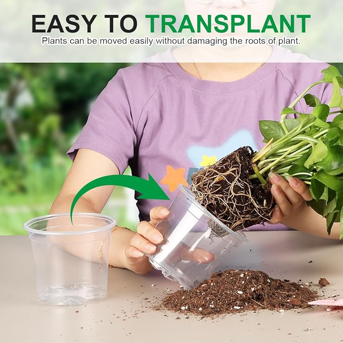100 Pack 4 Inch Clear Plant pots - Image 5