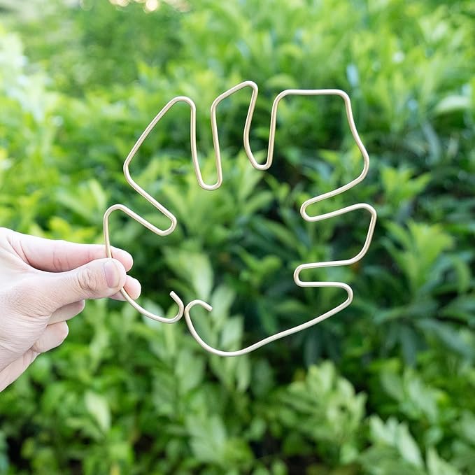 Monstera Stem Support - Image 6