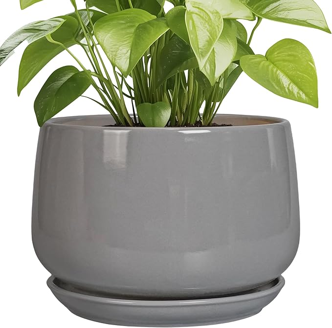 G EPGardening Ceramic Plant Pots by GEPGardening
