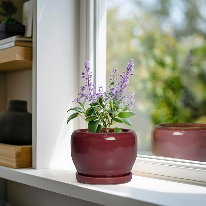 SQOWL 6 Inch Plant Pot - Image 2