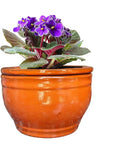 African Violet Pots Self Watering Round Ceramic Violet Pot by Dphagesy