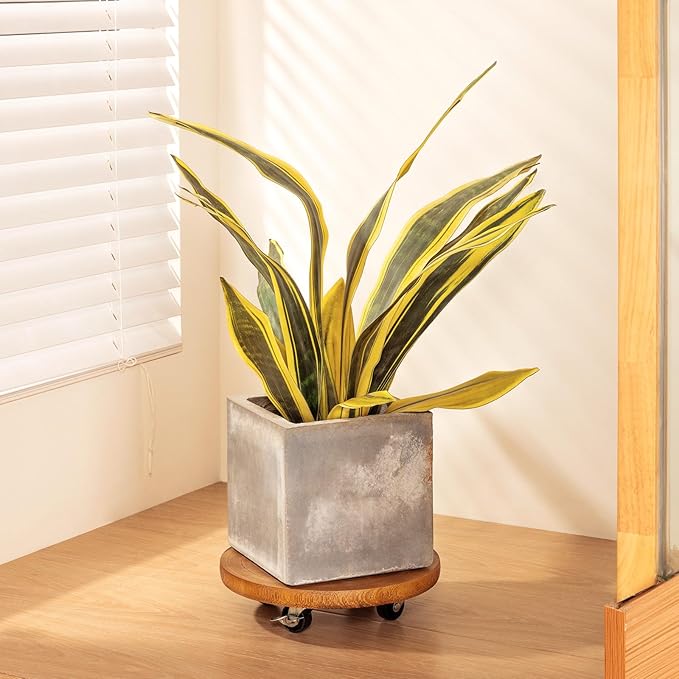 Yangbaga 2Pack 12inches Tree Plant Stand - Image 6