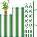 Plant Stakes, Garden Stake Pole by Catephe