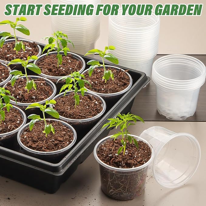 Clear Seedling pots 20 Pack 3.2 Inches Round - Image 7