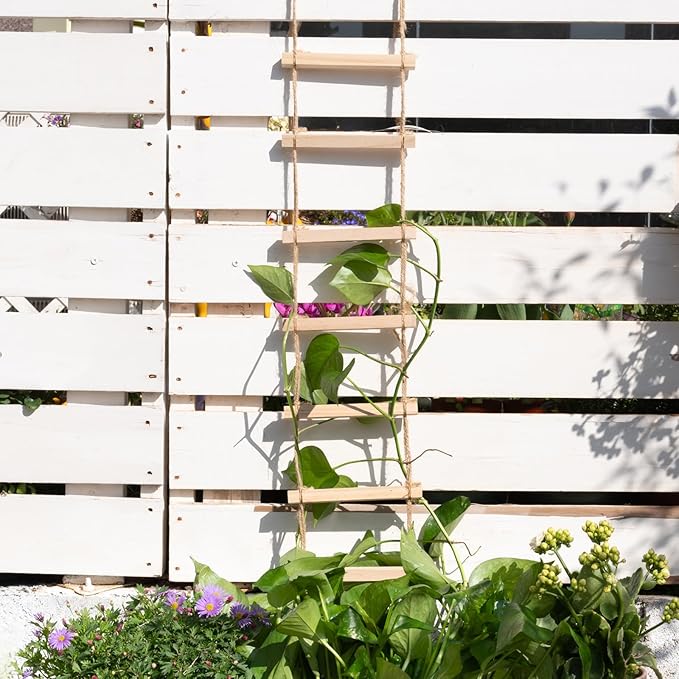 Sturdy Climbing Plants Trellis - Image 5