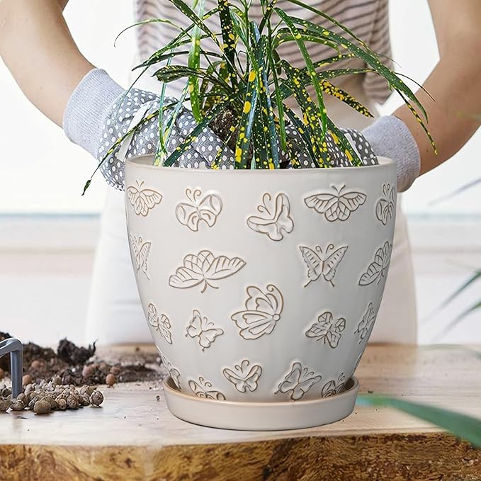Ceramic Planter 8 Inch - Image 5