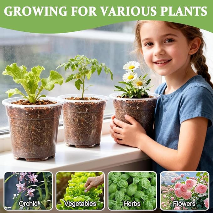 60 Pack 6 Inch Clear Nursery Pots - Image 7
