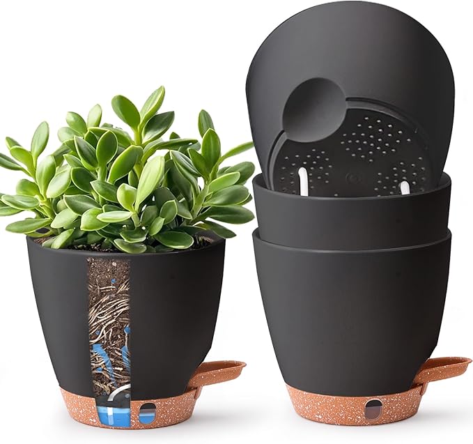 T4U 6 Inch Self Watering Pots for Indoor Plants by T4U