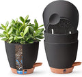 T4U 6 Inch Self Watering Pots for Indoor Plants by T4U