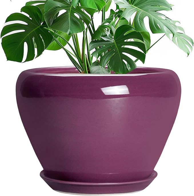 10 Inch Plant Pot by Ceramicfor